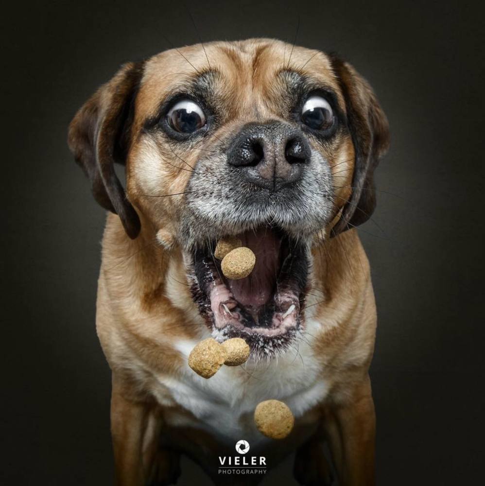 Meet your Posher, Becky